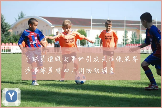 小球员遭殴打事件引发关注张家界涉事球员将回广州协助调查